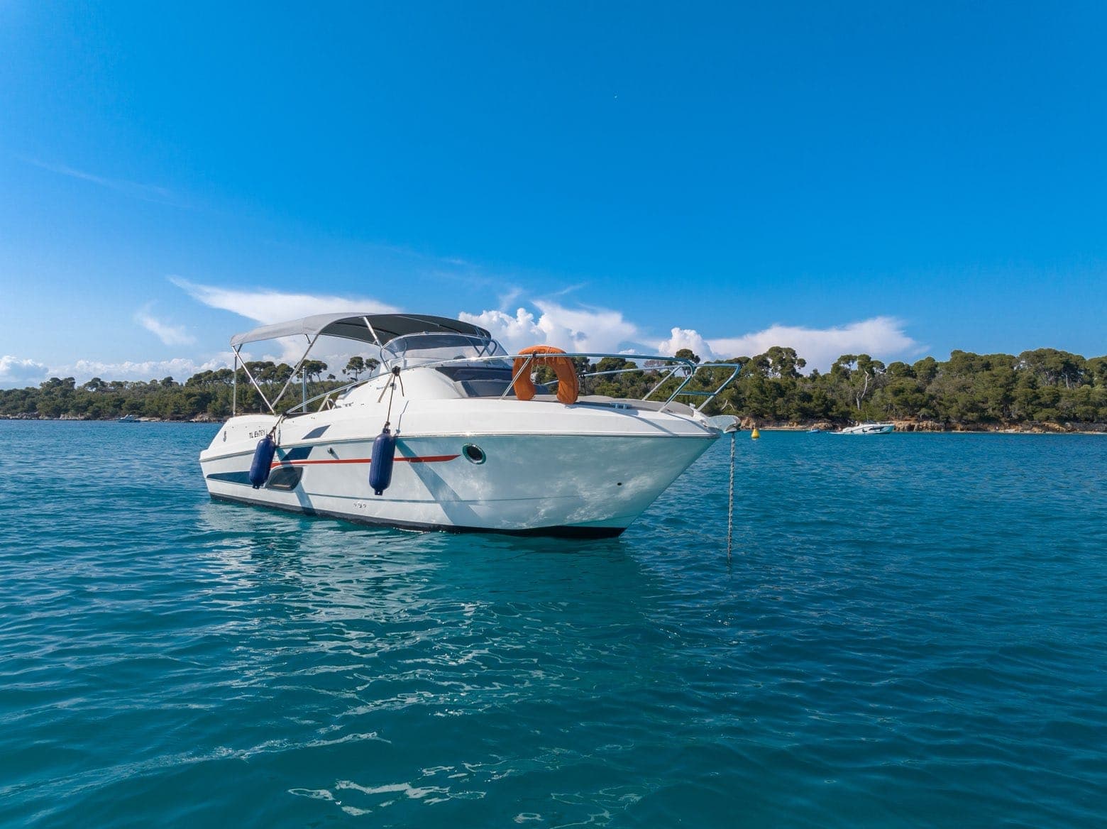 Flyer 850 Sundeck — photo 5